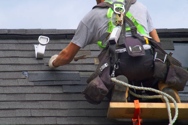 Best Roof Maintenance Services  in Shell Valley, ND