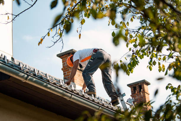 Best New Roof Installation  in Shell Valley, ND